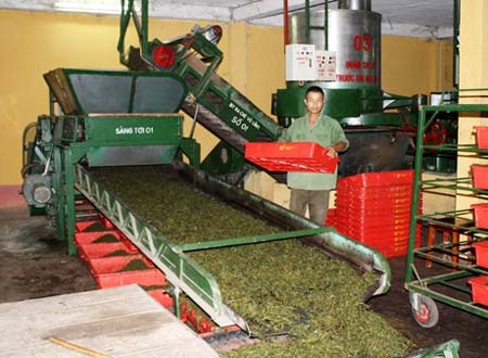 Lua 38 ty dong cua nguoi than va ngan hang hinh anh