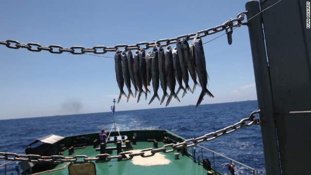 Cảnh phơi cá khô dưới ánh mặt trời nóng gắt để phục vụ những bữa ăn xa đất liền của tàu Cảnh Sát Biển Việt Nam.