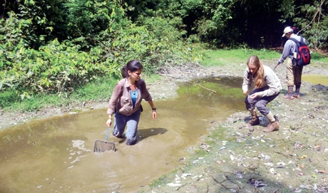 Cả Marta và Mona đều không ngại ngần khi lội trong bùn lầy hôi hám để săn tìm cá cóc.
