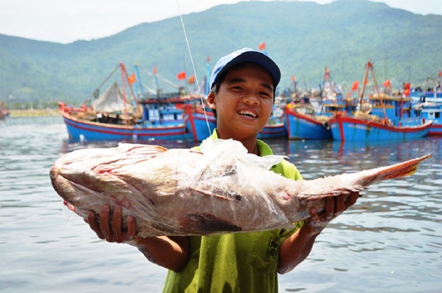 Tau ve tu Hoang Sa day ap ca lon hinh anh