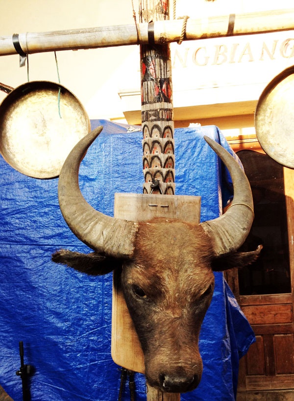 Đầu trâu trên giàn hiến tế.