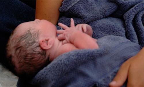 Tai xe do de cho khach tren taxi hinh anh