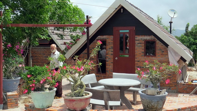 Các loài hoa khoe sắc trên mảnh đất vốn chỉ có cát và cỏ bao đời nay.