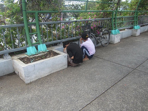 Thấy chúng tôi đi qua, họ đưa ống tiêm lên dọa dẫm.