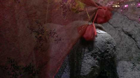 Phien da mang hinh san phu lam bon o ngoi den co hinh anh