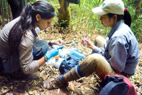 Các sinh viên đang làm thí nghiệm tại chỗ để xác định các đặc tính của loài cá cóc đặc hữu ở Đồng Sơn - Kỳ Thượng. 