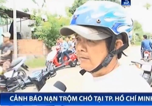 VTV sang 16/6: Phut 3 nguoi duoi trom cho bi ban sung dien hinh anh