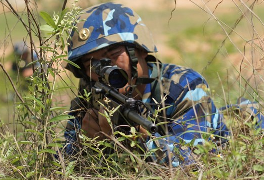 Don vi Hai quan danh bo tinh nhue cua Viet Nam hinh anh