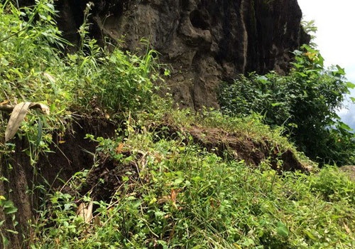 Xuat hien vet nut dai 150 m tai suon nui tai Lai Chau hinh anh