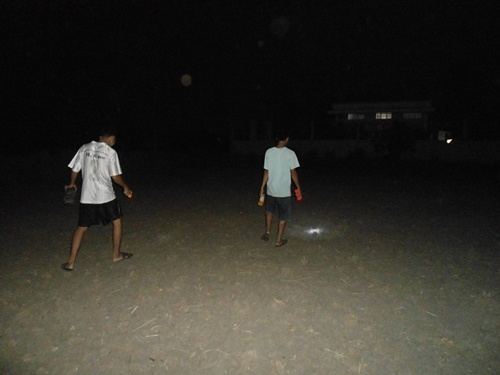 Bat de nuoi giac mo giang duong hinh anh