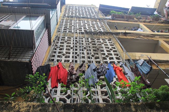  Các đường ống như những cây leo, bám chặt vào các góc tường.