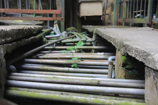  Các đường ống nước được hạ đặt dưới các tấm bê tông gần bể nước để có lực bơm mạnh hơn.