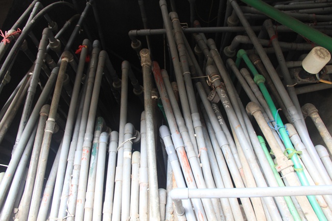  Hàng trăm ống nước chung một bể nước.