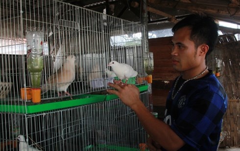 Day chim hot o thu do, dut tui tien ty hinh anh