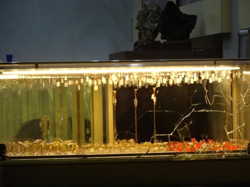 Cong bo dac diem nhan dang nghi can dung sung cuop tiem vang hinh anh