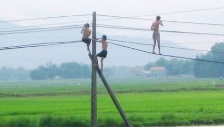 Treo cot dien bat chim, be trai bi giat chet hinh anh