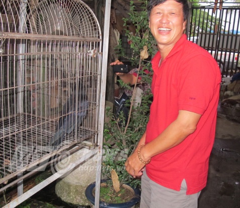 Anh Tuấn bên con quạ nói được tiếng người. 