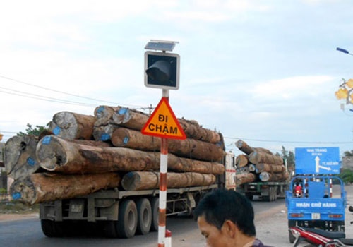 'Hung than' cay nat quoc lo, CSGT 'lam ngo' cho di hinh anh