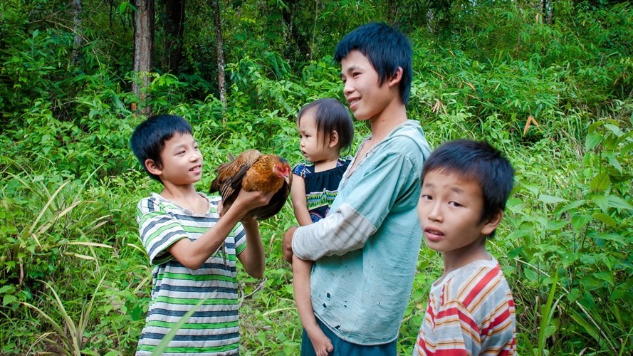 Ở rừng sâu, bạn bè của chúng là con gà, con mèo và một con chó cụt chân vì vướng bẫy.