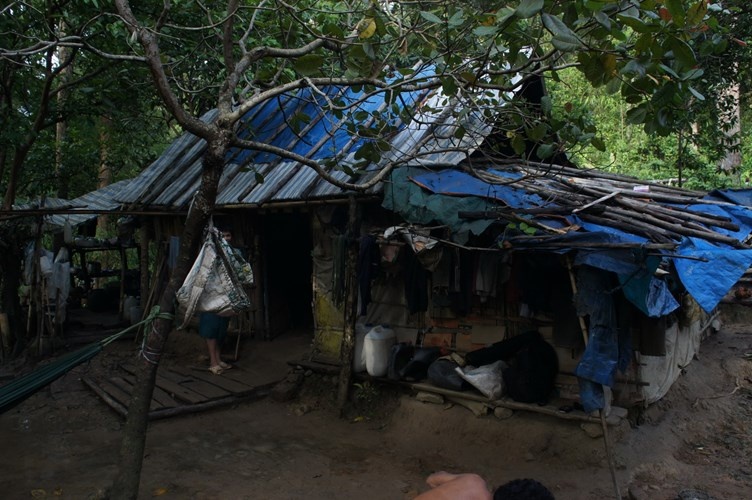 Túp lều rách nát giữa rừng này là nơi trú ngụ của sau con người gồm hai vợ chồng và bốn em bé.