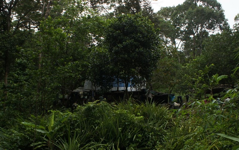 “Nhà” của họ lọt thỏm giữa rừng Sông Mao.