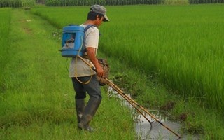 Sat thu xung dien: Dem tinh mang dua cot voi tu than hinh anh