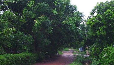 Hoan canh oan nghiet cua nguoi phu nu om con tu thieu hinh anh