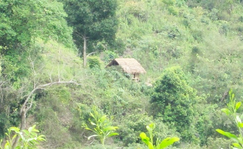 Bat trum dung lan trai tren nui mua ban heroin hinh anh