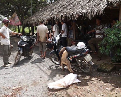 Hang tram nguoi dan danh ten trom cho hinh anh