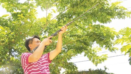 Hoang hon sung con, sung hoi goi bang 'cu to' hinh anh