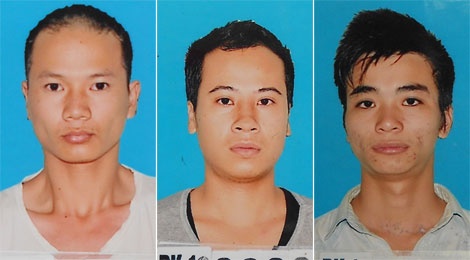 Các bị can Phạm Văn Tình, Đỗ Đức Tùng và Lê Văn Đức.