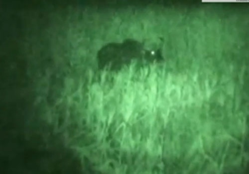 Clip bo tot 'ghe' ruong cua dan hinh anh