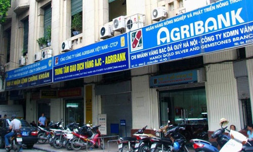 Bat nguyen uy vien Hoi dong thanh vien Ngan hang Agribank hinh anh