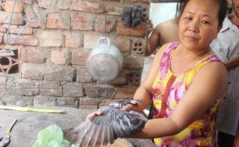 Bà Nguyễn Thị Tư bắt được chim mang kí tự lạ.