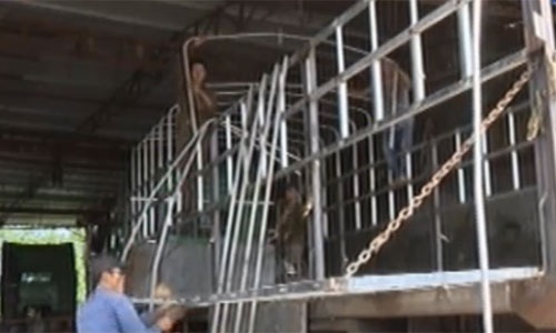 VTV sang 9/7: Hiem hoa tu thung xe sieu nhe hinh anh