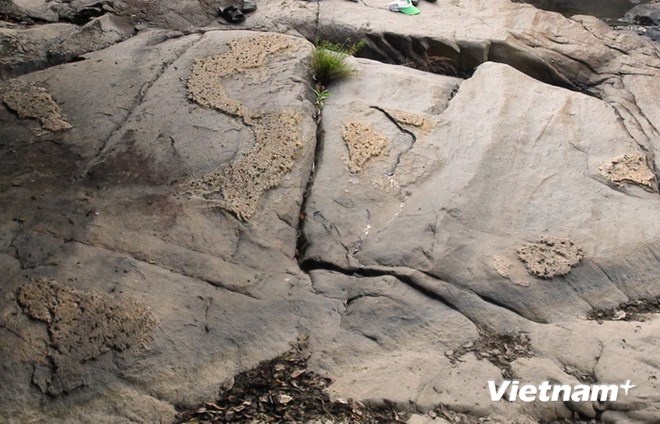 Bản đồ Việt Nam trên đá. 