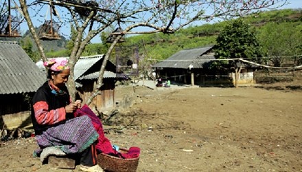 Lat tay ke dung ta dao me hoac nguoi dan chong pha Nha nuoc hinh anh