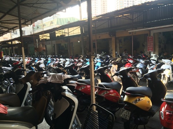 Cu lua mua World Cup hinh anh