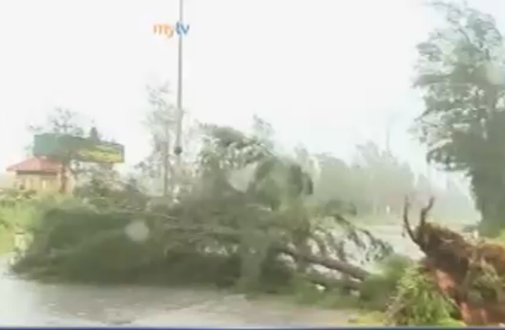 VTV: TP Mong Cai, Quang Ninh bi mat dien tren dien rong hinh anh