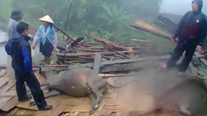 Be so sinh 10 ngay tuoi tu vong do sat lo dat hinh anh