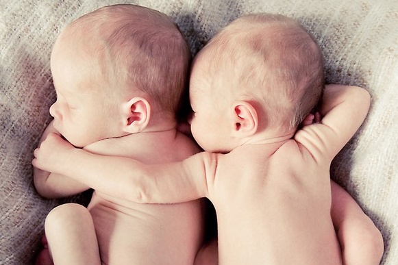 Song sinh nhung tinh trung la cua hai ong bo hinh anh