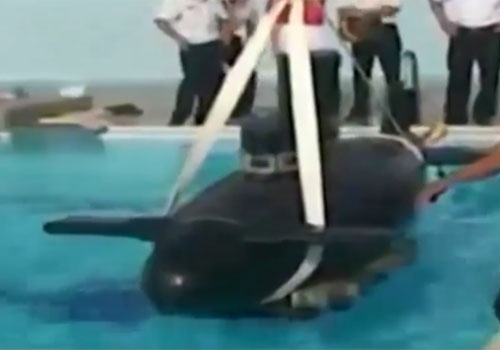 VTV: Tau ngam tu nhan san xuat ban sang Malaysia hinh anh