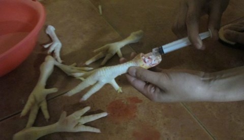 Bat mi thu thuat 'phu phep' chan ga nuong hinh anh