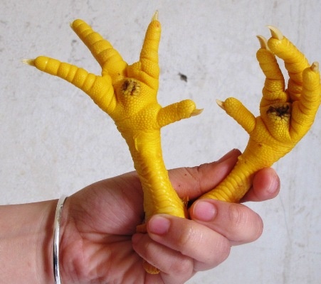 Chân gà xòe ra là đã được bơm nước căng bọng, còn chiếc chân gà gập vào chưa được bơm nước.