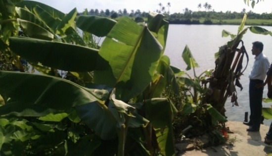 Xuong tay giet ke trom buong chuoi hinh anh