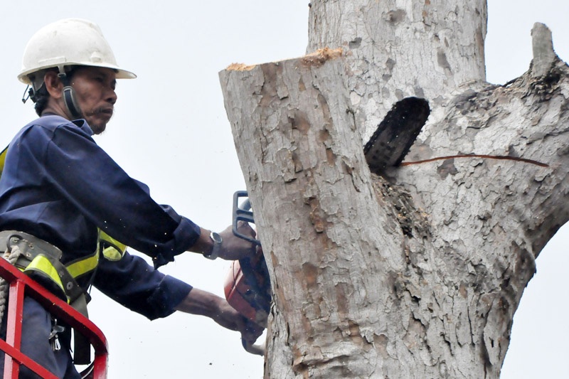 Vi sao phai don bo hang co thu khi lam Metro o TP.HCM? hinh anh