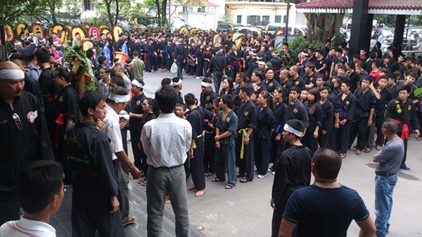 Theo các võ sư Bình Định Gia, môn phái này chỉ thực sự lớn mạnh và được các cao thủ đất Bắc biết đến khi võ sư cao cấp Trần Hưng Quang nhận chức Trưởng môn đời thứ 5.