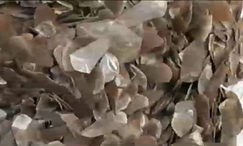 VTV sang 25/7: Bat 1,4 tan vay te te trai phep hinh anh