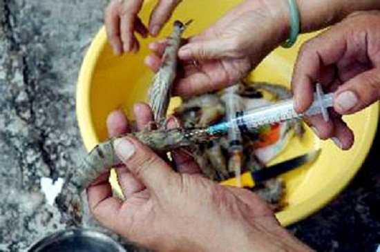 Bat qua tang vu bom rau cau, bot trang vao tom su hinh anh