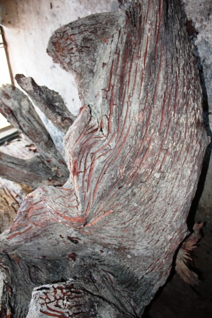 Không ít người ở Quảng Bình biến thành “đại gia” sau một đêm vì gỗ Huê lên giá nhưng cũng quá nhiều người trắng tay nợ nần chồng chất vay mượn mua gỗ thì gặp phải lúc rớt giá…  Từ đó đến nay, giá của gỗ huê tụt đến thê thảm và bây giờ có giảm giá chẳng thương lái nào muốn mua nó… - một đầu lậu buôn gỗ huê tâm sự.   